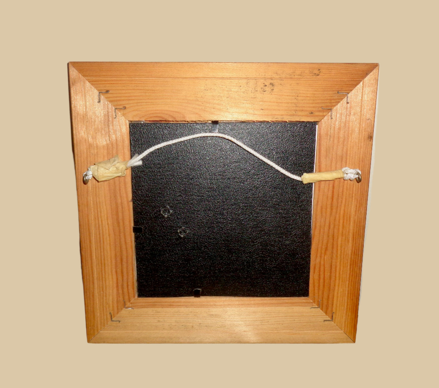 Vintage Framed Forget Me Not Cross Stitch Embroidery