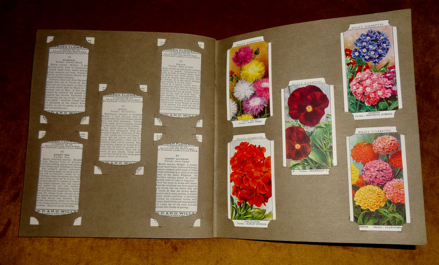 1939 Garden Flowers Wills's Cigarette Card Album