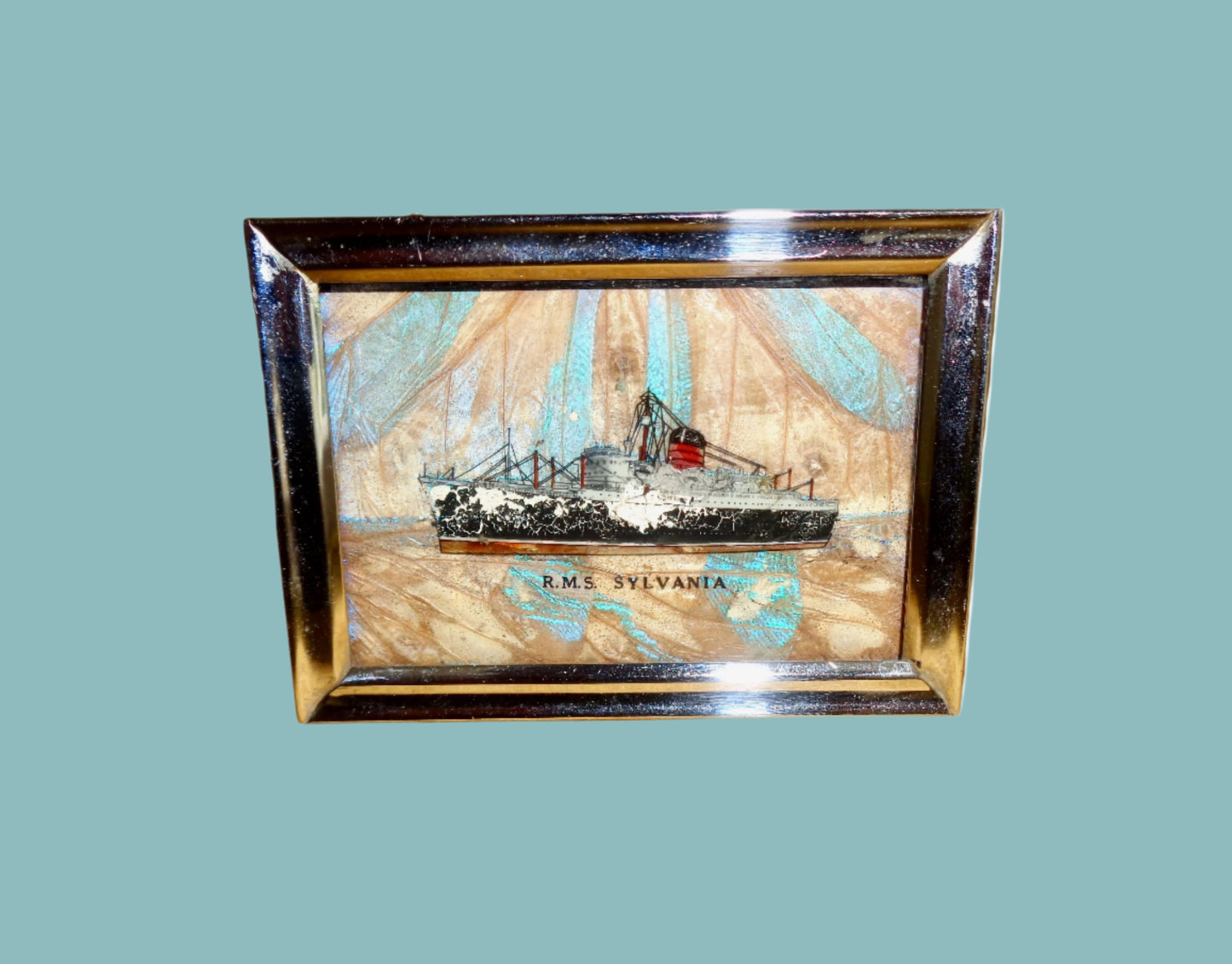 1950s Shipton & Co Real Butterfly Wing Hand Painted In Oils With The Ship RMS Sylvania