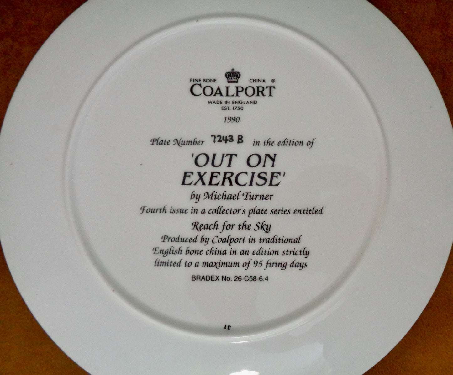 Out On Exercise Coalport Battle Of Britain Commemorative Collector's Plate Number 7243B