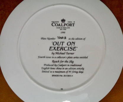 Out On Exercise Coalport Battle Of Britain Commemorative Collector's Plate Number 7243B