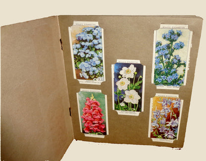 1939 Garden Flowers Wills's Cigarette Card Album