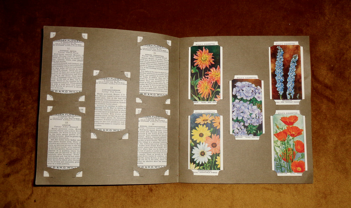 1939 Garden Flowers Wills's Cigarette Card Album