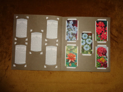1939 Garden Flowers Wills's Cigarette Card Album
